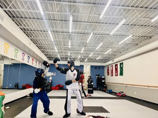 National Karate & Martial Arts academy logo