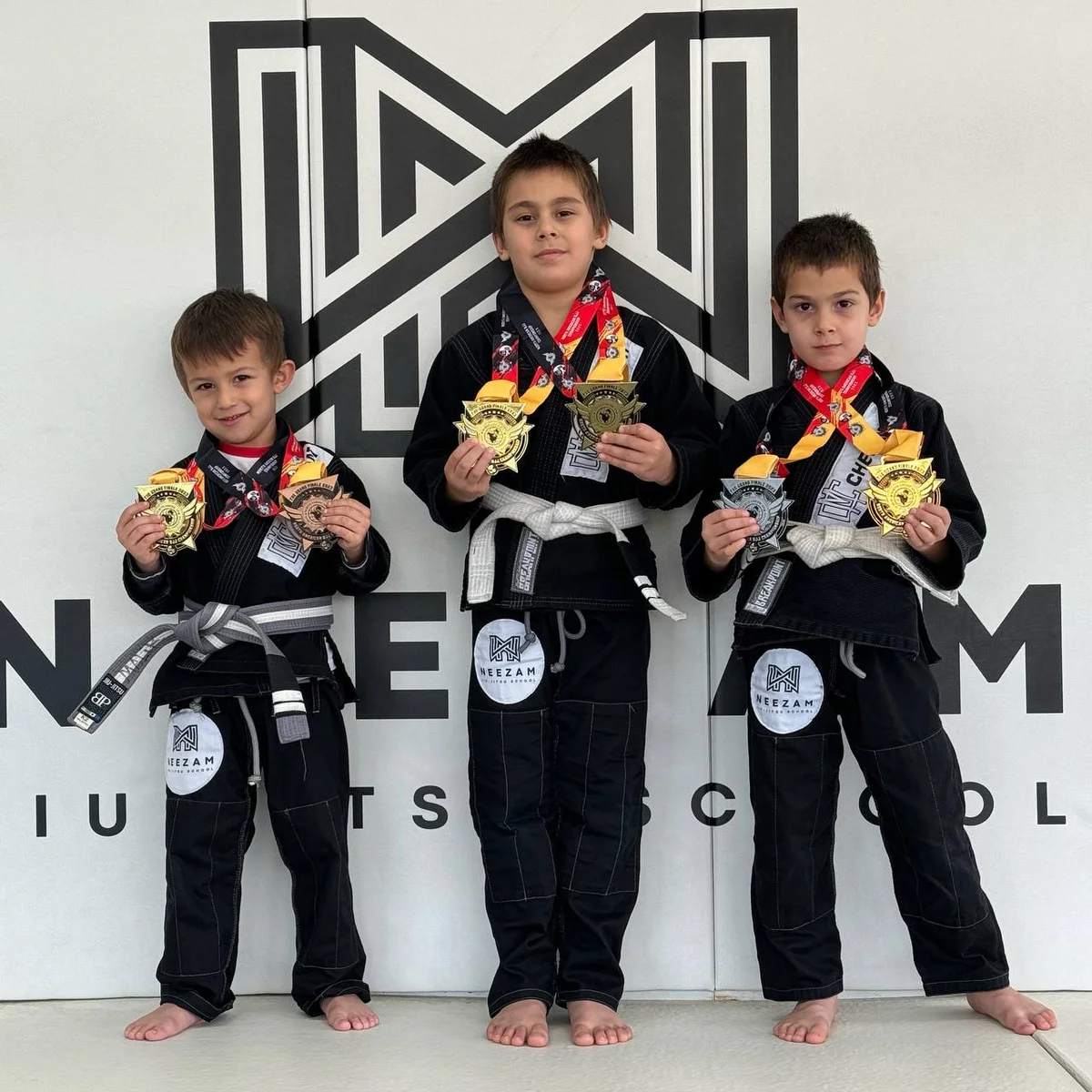 Neezam Jiu Jitsu academy logo