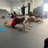 New Creation Wrestling and Jiu Jitsu LLC facility image