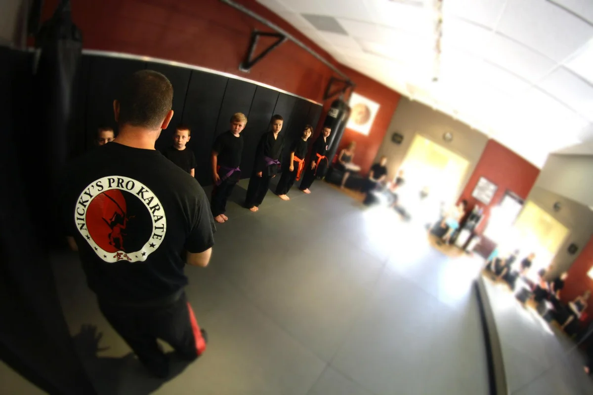 Nicky's Pro Karate facility image