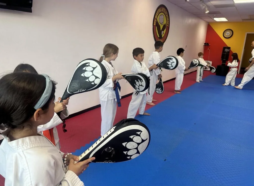 NV Martial Arts & Fitness Academy facility image