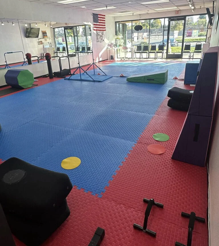 NV Martial Arts & Fitness Academy facility image