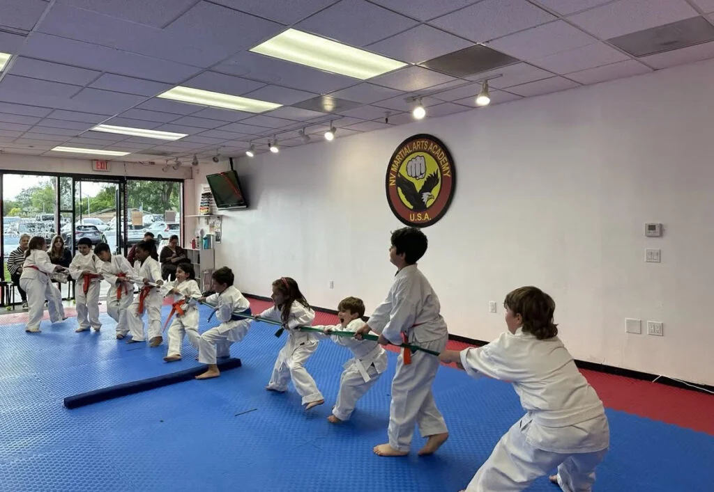 NV Martial Arts & Fitness Academy facility image