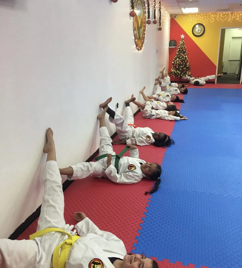 NV Martial Arts & Fitness Academy facility image