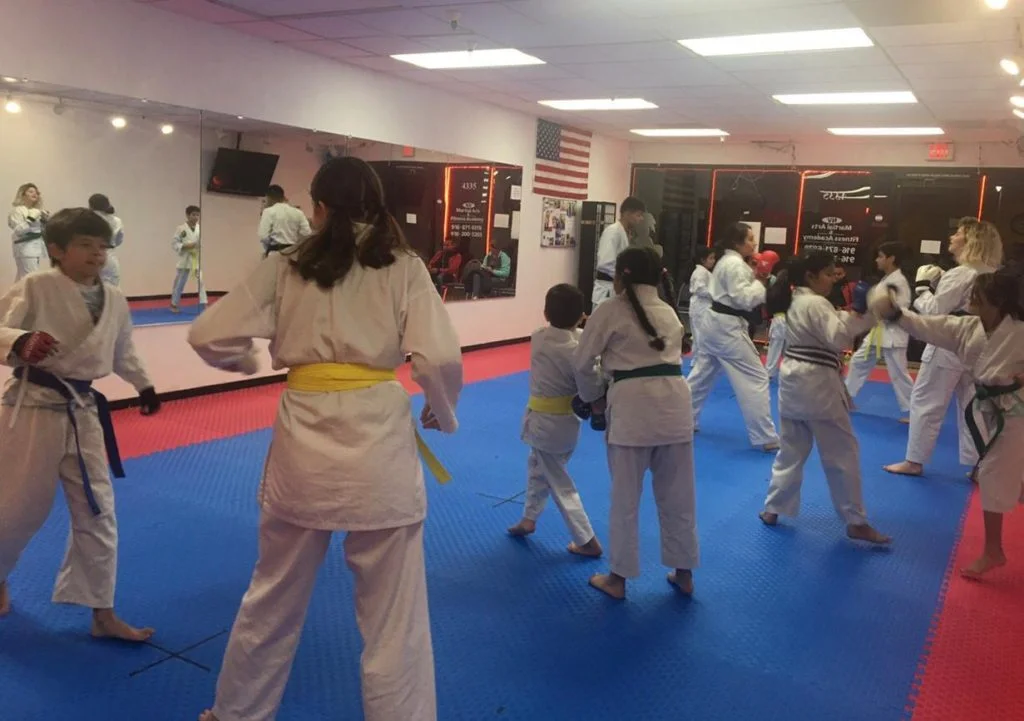 NV Martial Arts & Fitness Academy facility image