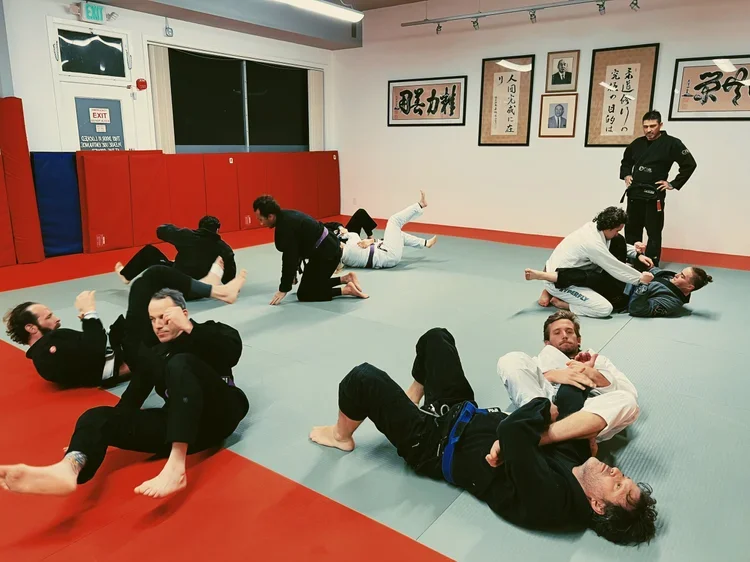 Parkside Jiu Jitsu facility image