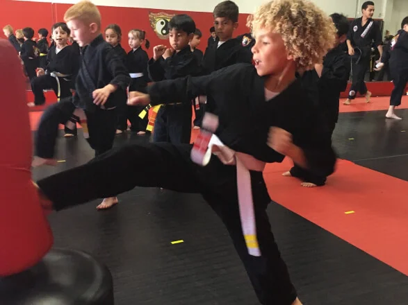 Power of One Martial Arts - Los Altos academy logo