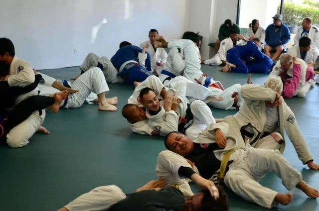 Premier Jiu-Jitsu Academy facility image