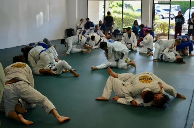 Premier Jiu-Jitsu Academy facility image