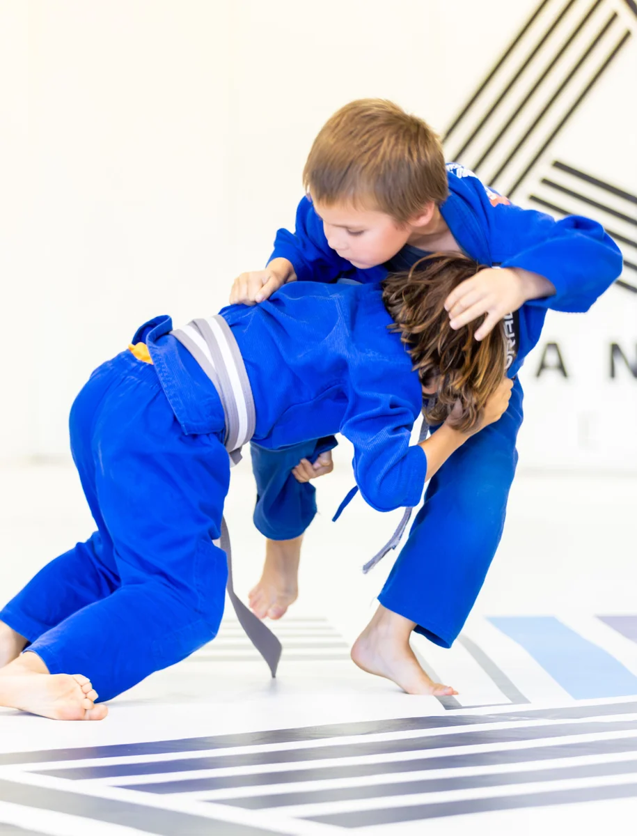 Prisma Brazilian Jiu-Jitsu by Leandro Vieira facility image