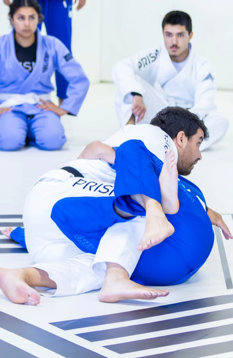 Prisma Brazilian Jiu-Jitsu by Leandro Vieira facility image