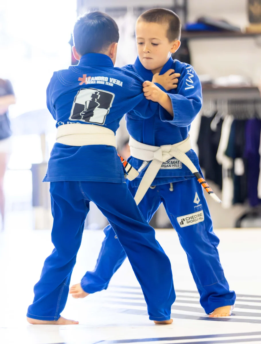 Prisma Brazilian Jiu-Jitsu by Leandro Vieira facility image