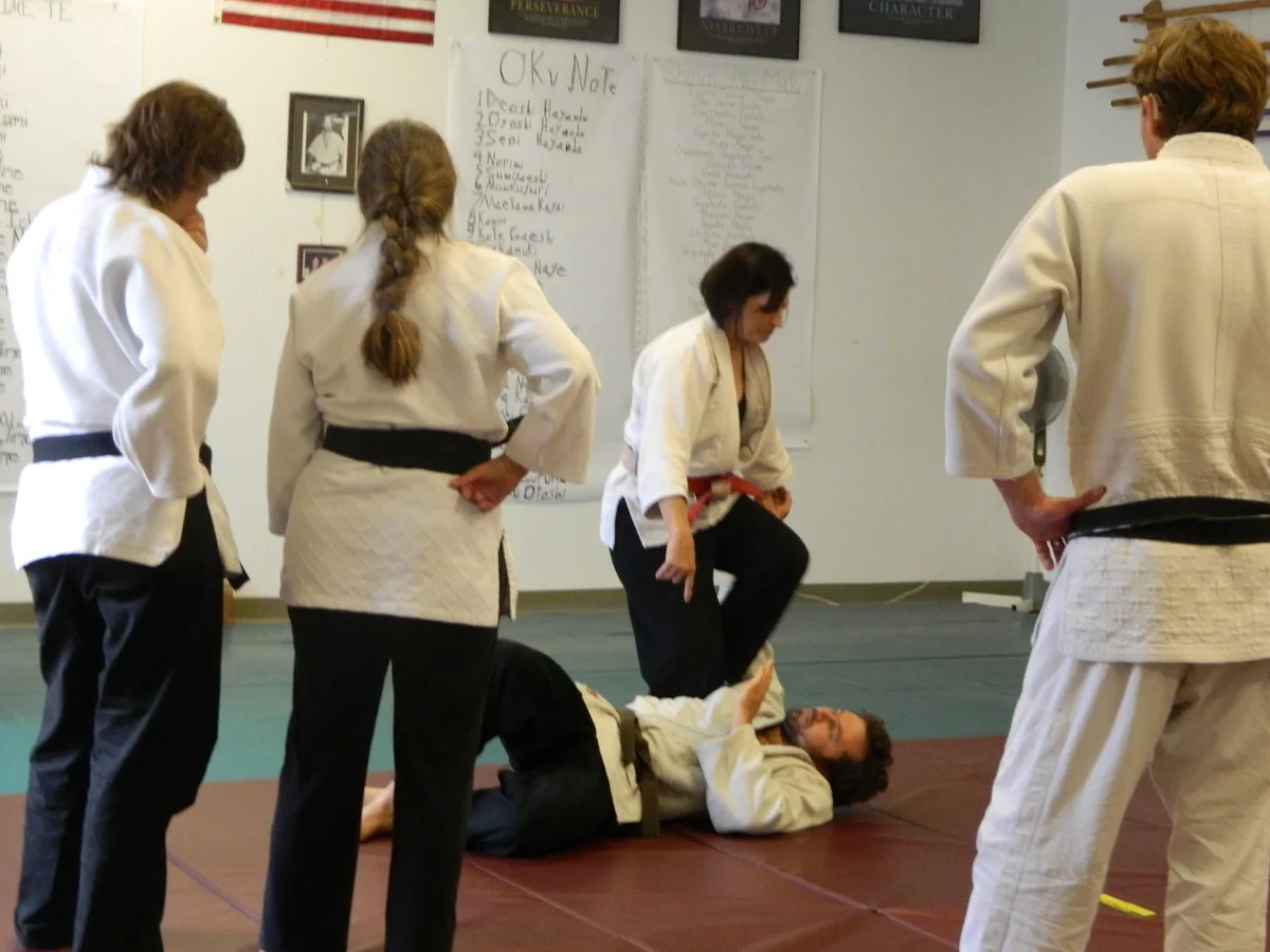 Santa Barbara Jujitsu Kai facility image