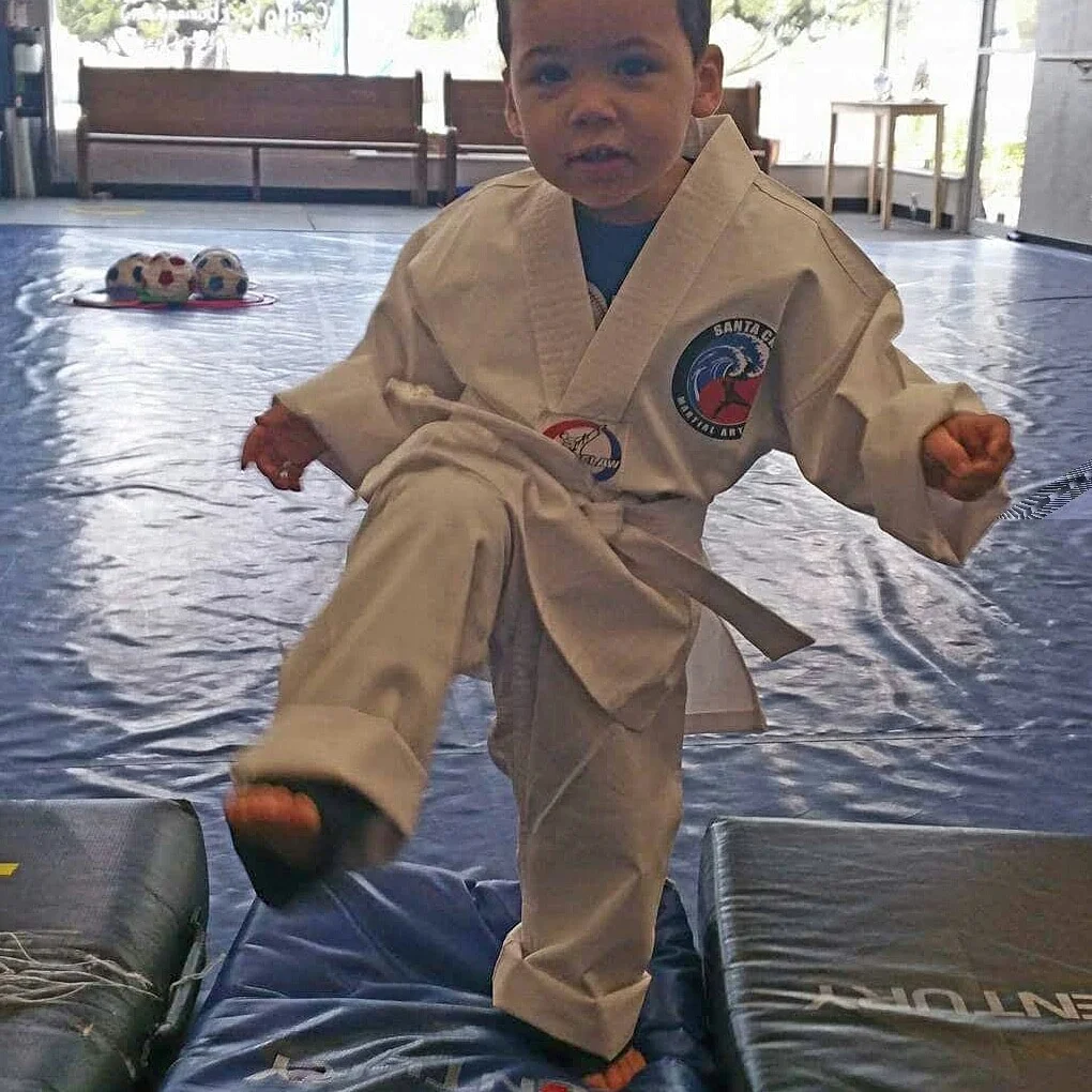 Santa Cruz Martial Arts Academy facility image