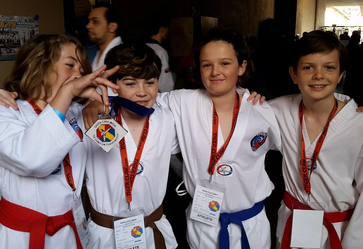 Santa Cruz Martial Arts Academy facility image