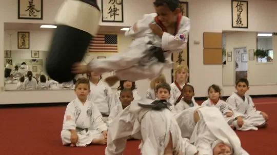 School of Oom Yung Doe (The Grandmaster Iron Kim Style) facility image