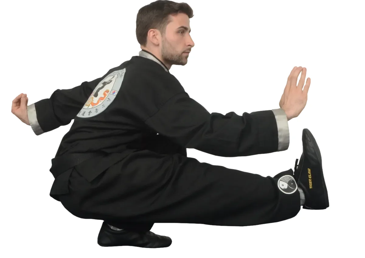 School of Oom Yung Doe (The Grandmaster Iron Kim Style) facility image
