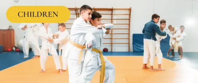 School of Oom Yung Doe (The Grandmaster Iron Kim Style) facility image