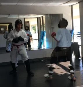 Scorpius Martial Arts facility image