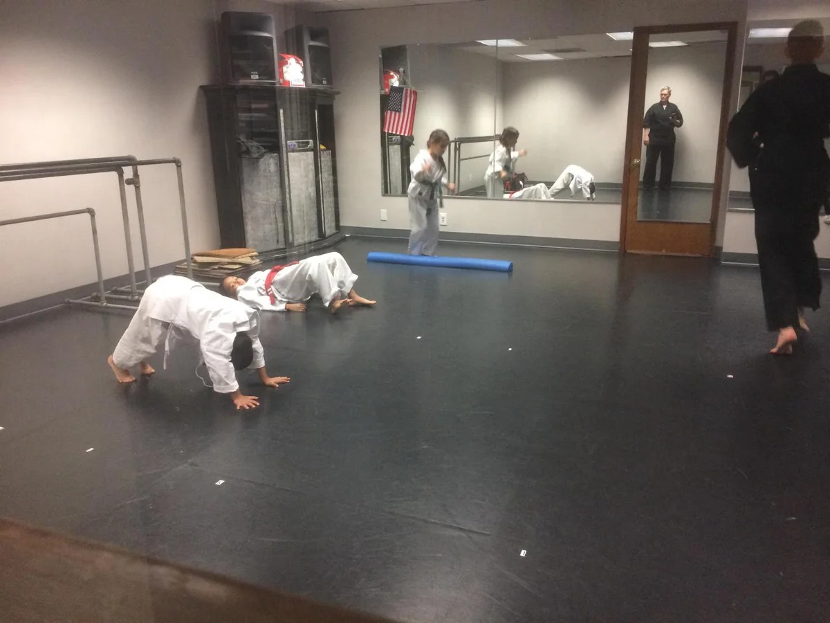 Scorpius Martial Arts facility image