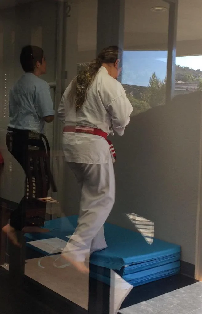 Scorpius Martial Arts facility image