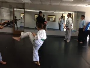 Scorpius Martial Arts facility image