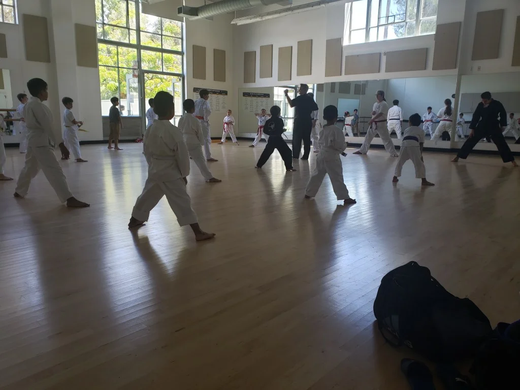 Scorpius Martial Arts facility image