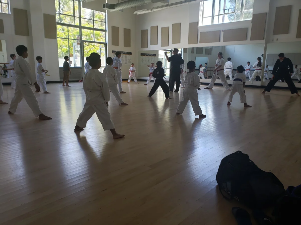Scorpius Martial Arts facility image