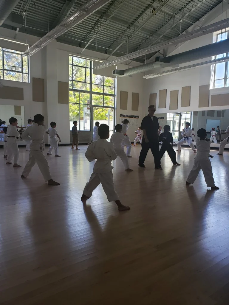 Scorpius Martial Arts facility image