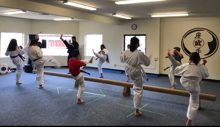 Scorpius Martial Arts facility image