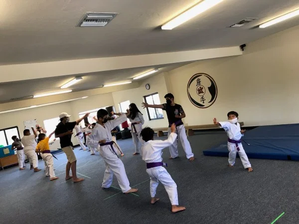 Scorpius Martial Arts facility image