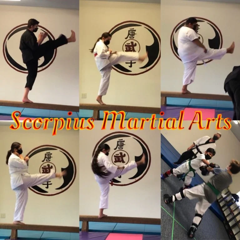 Scorpius Martial Arts facility image