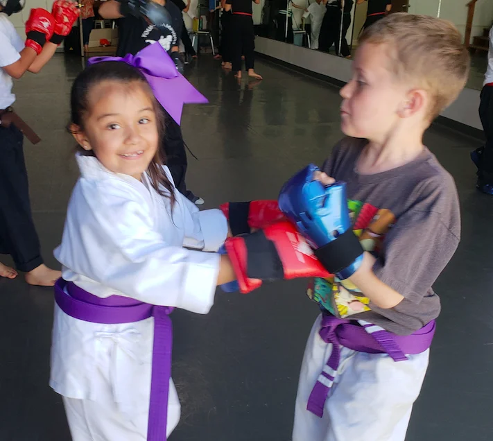 Scorpius Martial Arts facility image