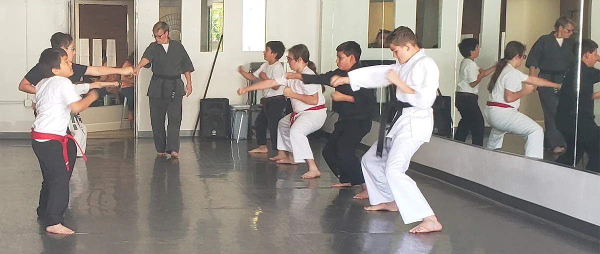 Scorpius Martial Arts facility image