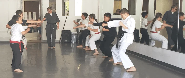Scorpius Martial Arts facility image