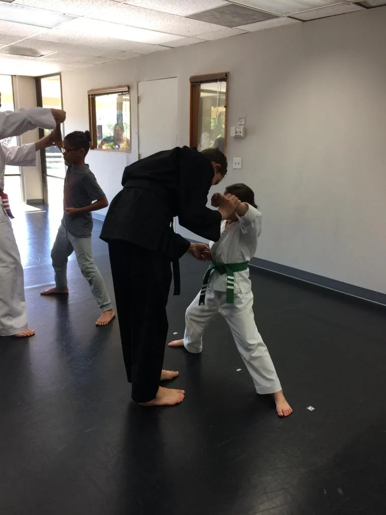 Scorpius Martial Arts facility image