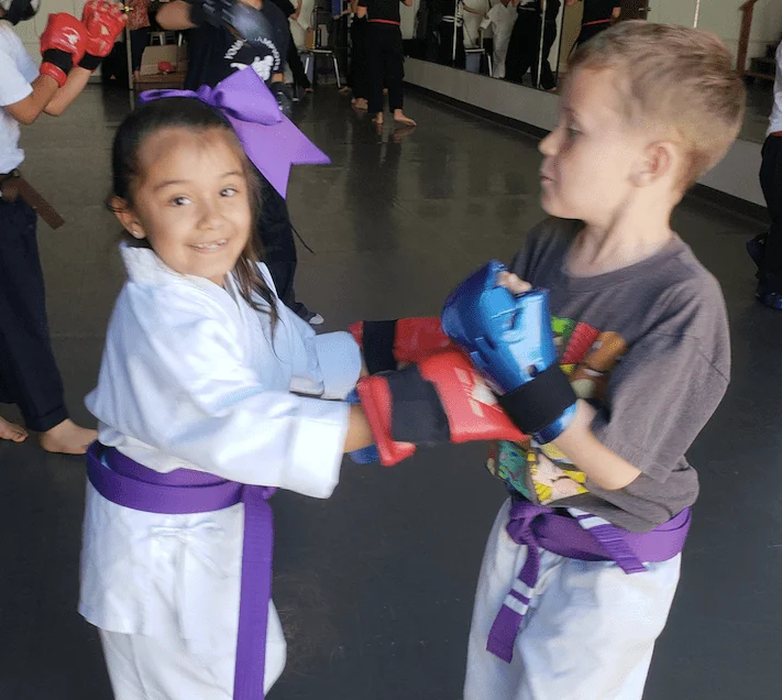 Scorpius Martial Arts facility image