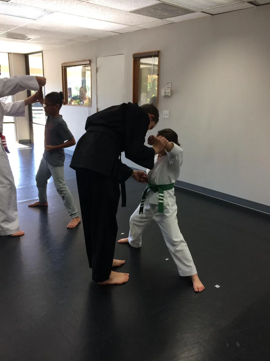 Scorpius Martial Arts facility image