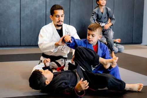 Sektor Jiu Jitsu Corona CA academy logo