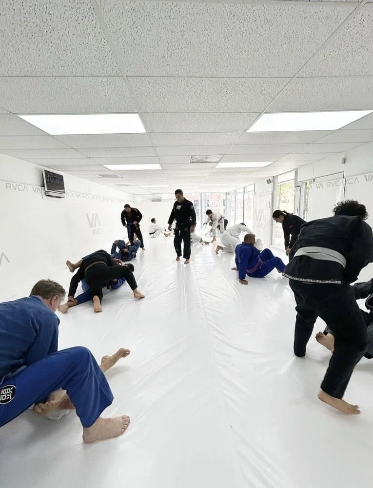 South Bays premiere Jiu Jitsu Training academy logo