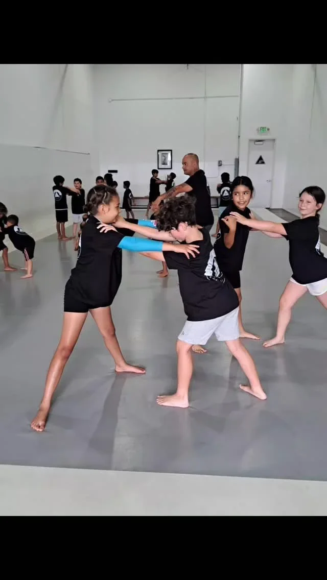 South Shore Jiu Jitsu & Mixed Martial Arts facility image