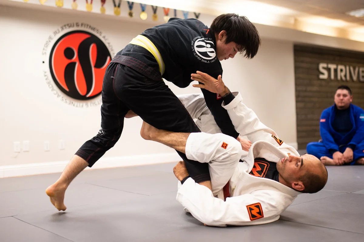 STRIVE JIU-JITSU ACADEMY (IBJJFF) academy logo