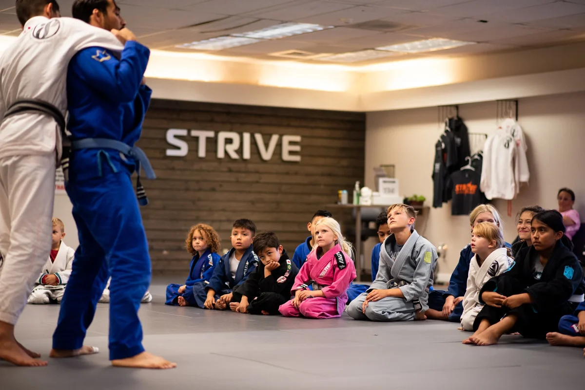 STRIVE JIU-JITSU ACADEMY (IBJJFF) facility image