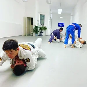 Studio86 Jiu Jitsu facility image