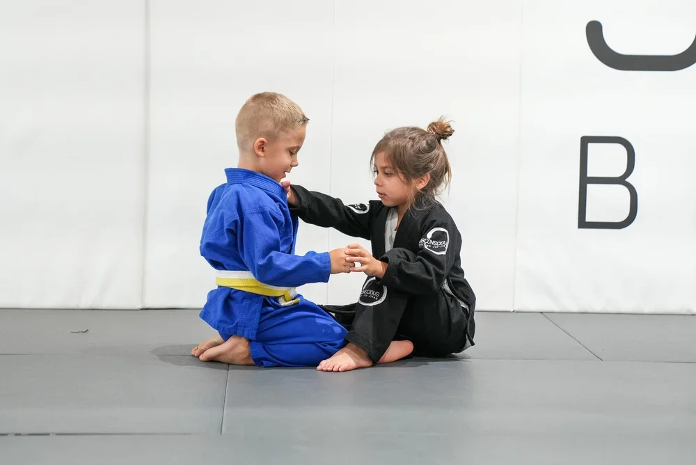 Subconscious Brazilian Jiu-Jitsu Academy facility image
