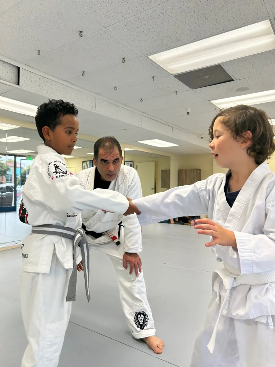 Team Silva BJJ Alameda facility image