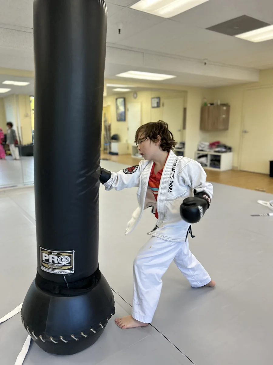 Team Silva BJJ Alameda facility image