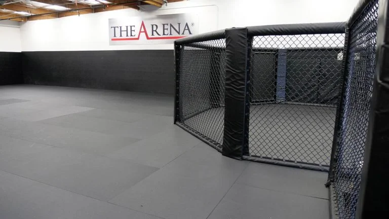The Arena - The Grappling Gym academy logo