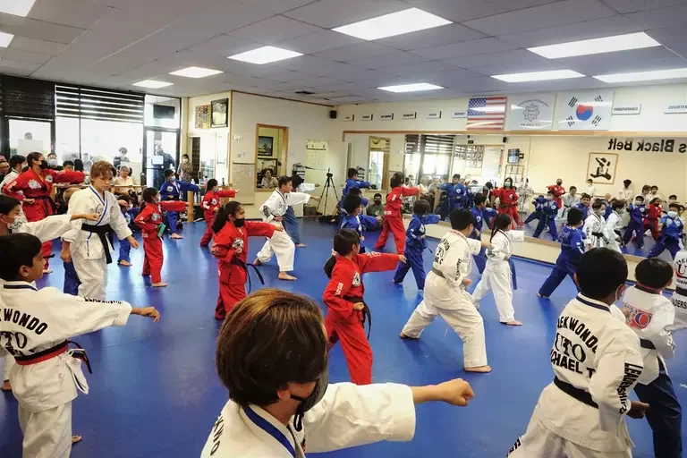 The Great Savings Event (Groupon Page for Martial Arts Gyms in Aliso Viejo, CA) facility image