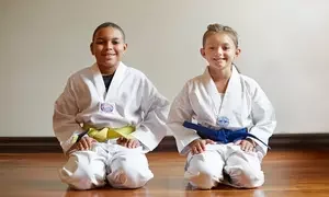 The Great Savings Event (Groupon Page for Martial Arts Gyms in Aliso Viejo, CA) facility image